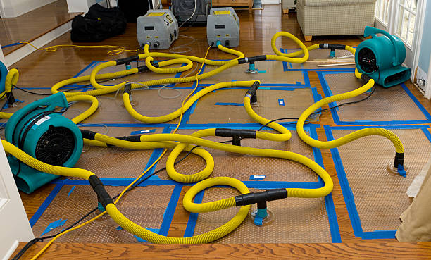 Professional Sewage Cleanup technician working in Marion, MA